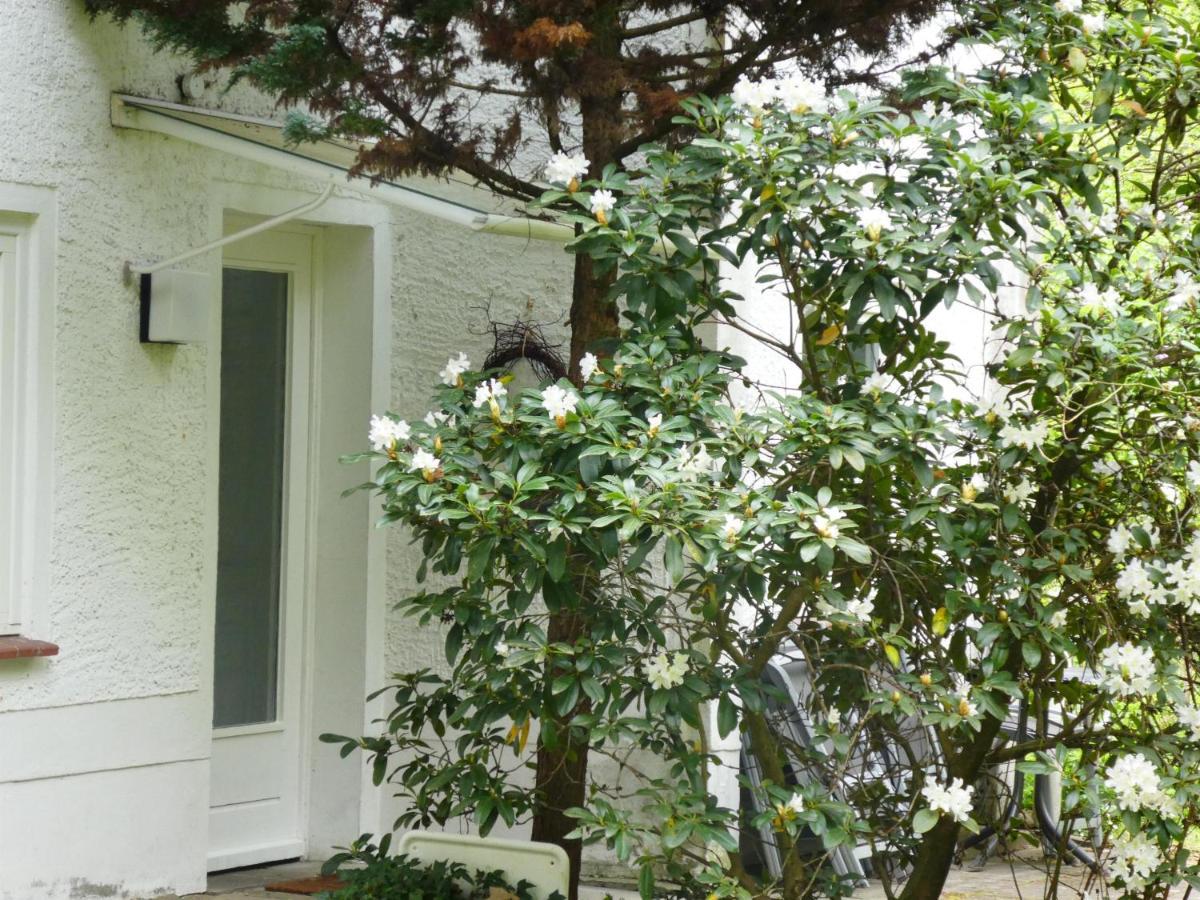Ferienwohnung Niemann In Lutterloh Unterluss ภายนอก รูปภาพ