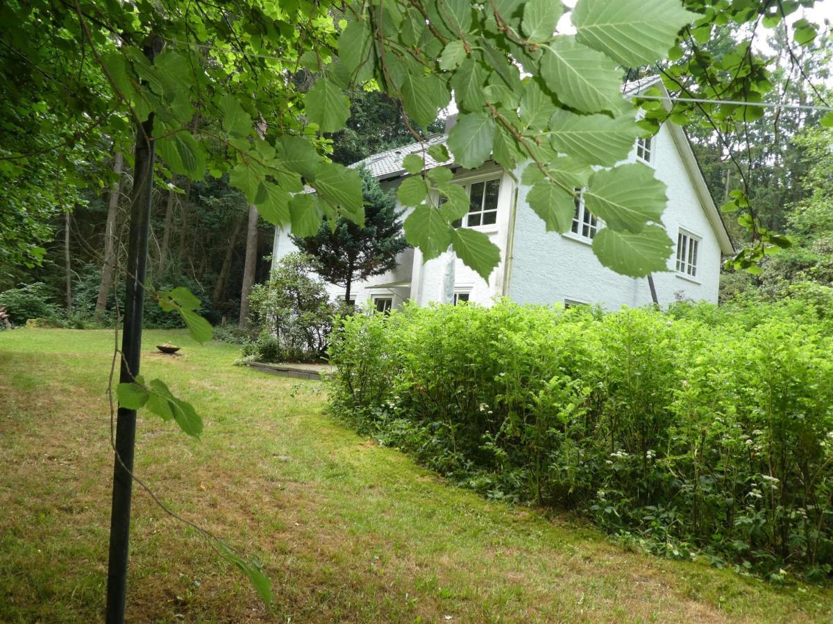 Ferienwohnung Niemann In Lutterloh Unterluss ภายนอก รูปภาพ